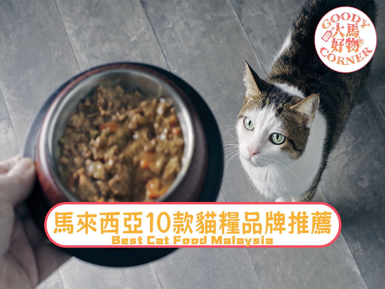 馬來西亞10款貓糧品牌
