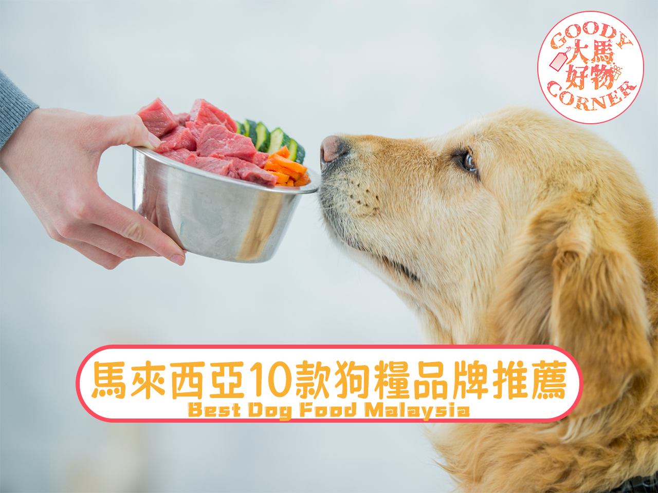 馬來西亞10款狗糧品牌