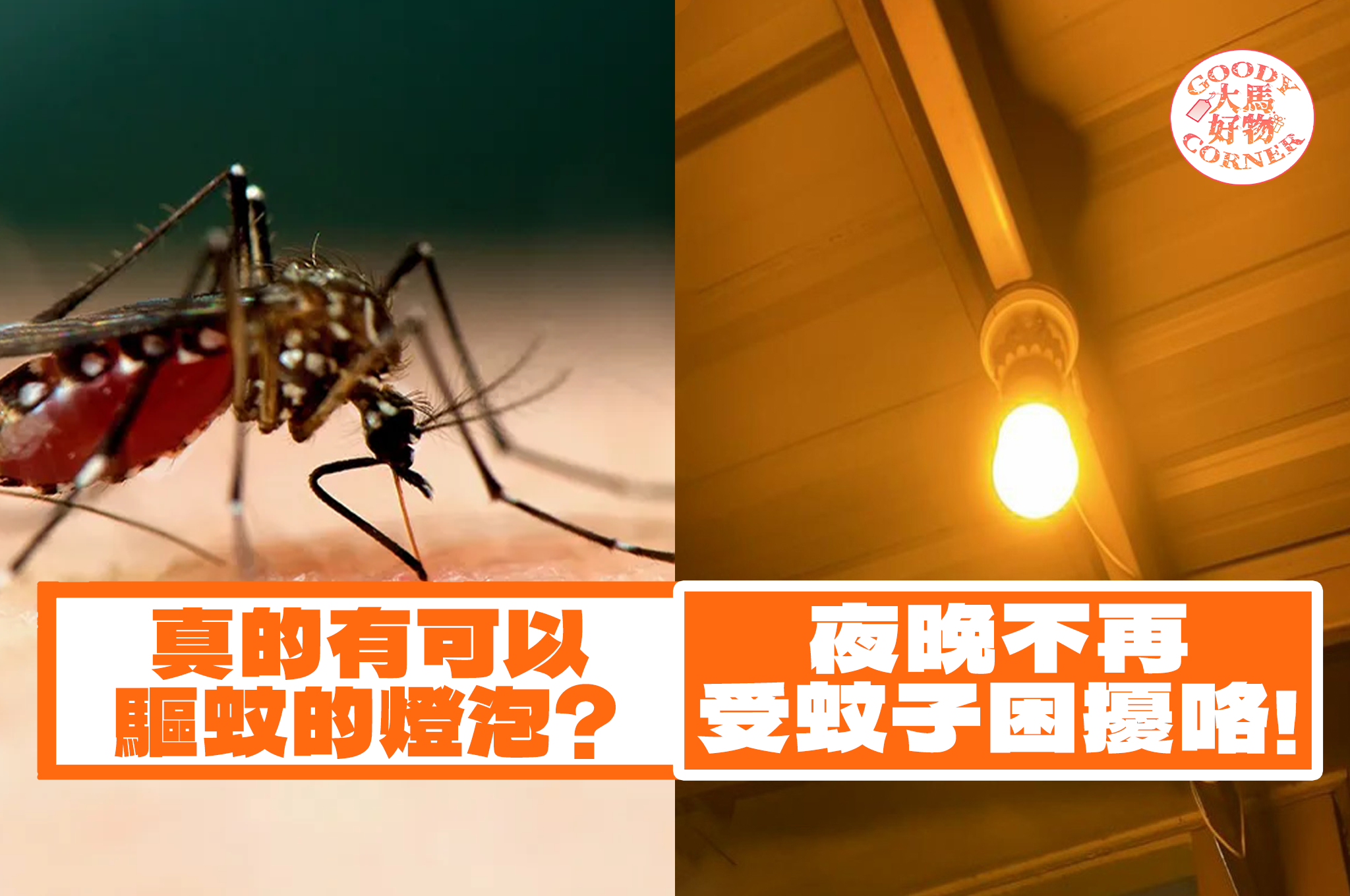 Anti Mosquito Light Bulb main